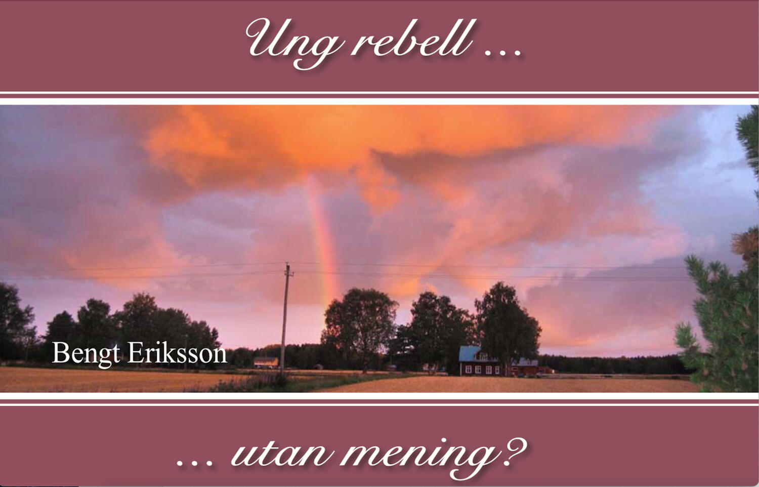 Ung rebell… utan mening? (2020) Ung rebell… utan mening? (2020) Kirjan kansikuva.